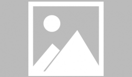 跳蛋阅读视频,探索阅读乐趣与技巧的全新视角