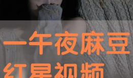 午夜视频播放,揭秘热门视频播放背后的故事
